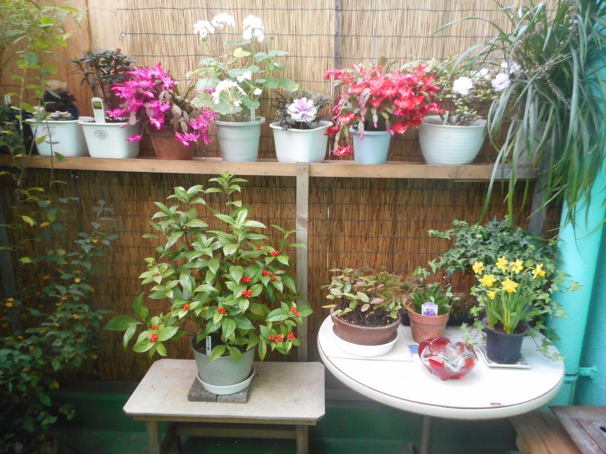 Jgh Tokyo Hostel Καβαγκούτσι Εξωτερικό φωτογραφία